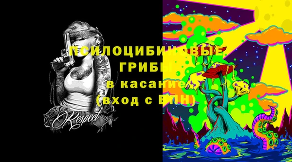 амф Вязьма