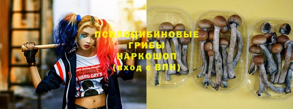 ПСИЛОЦИБИНОВЫЕ ГРИБЫ Волосово