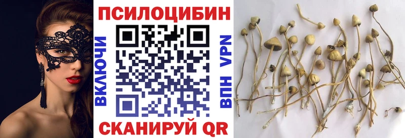 продажа наркотиков  Ишим  Галлюциногенные грибы мицелий 